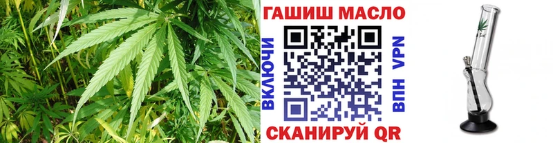 Купить закладки  Буй  ТГК THC oil 