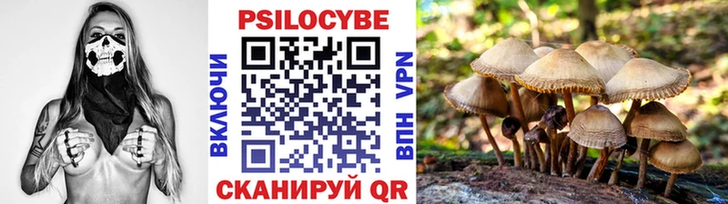 Купить где Буй Псилоцибиновые грибы ЛСД